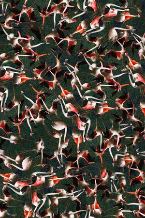 印花华亿平台图片