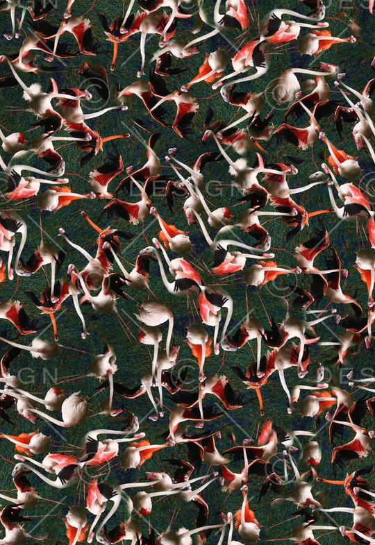 印花华亿平台图片