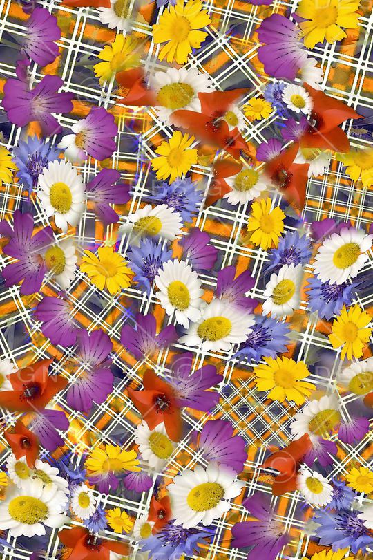 几何方格印花华亿平台图片