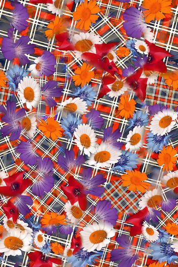 306499-多彩格纹花卉花朵组合