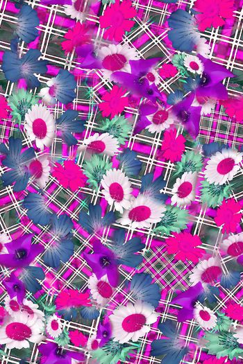 306500-多彩格纹花卉花朵组合