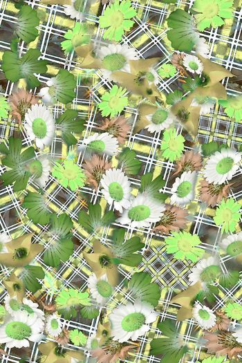 306501-多彩格纹花卉花朵组合