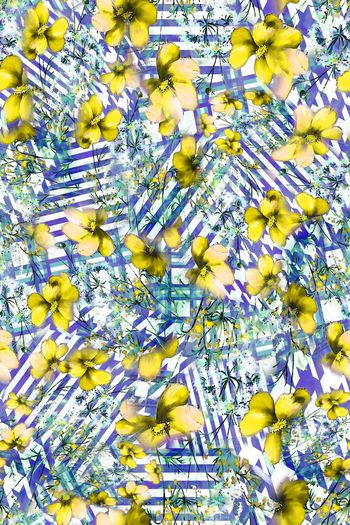 306505-多彩格纹花卉花朵组合