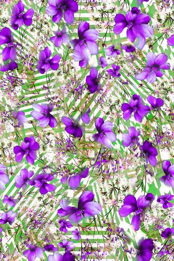 306506-多彩格纹花卉花朵组合