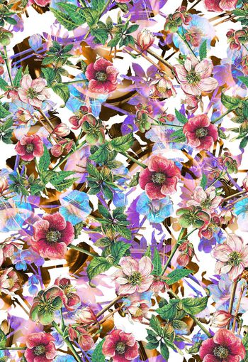 306535-多彩花卉花朵组合