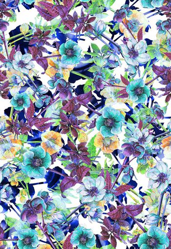 306536-多彩花卉花朵组合