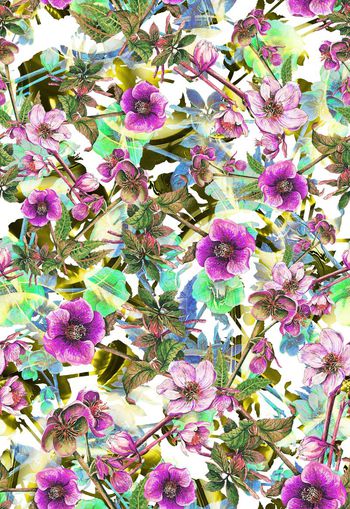 306537-多彩花卉花朵组合