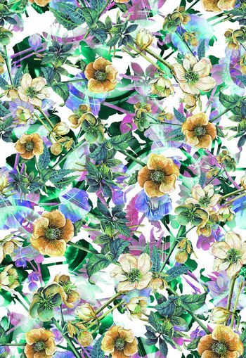 306538-多彩花卉花朵组合