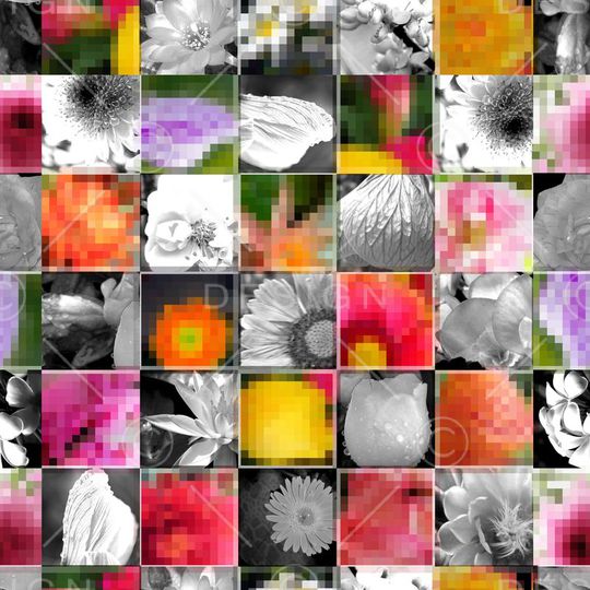 ♥红桃A〖花鸟天堂〗印花华亿平台图片