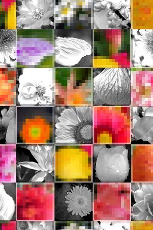 ♥红桃A〖花鸟天堂〗印花华亿平台图片