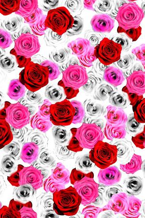 摄影写实花卉印花华亿平台图片