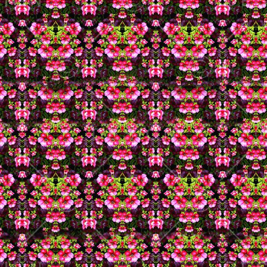 油画花卉印花华亿平台图片