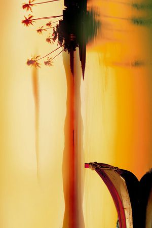 摄影写实印花华亿平台图片