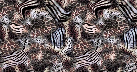 豹纹印花华亿平台图片