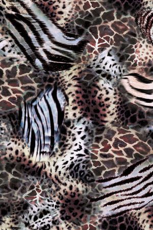 豹纹印花华亿平台图片