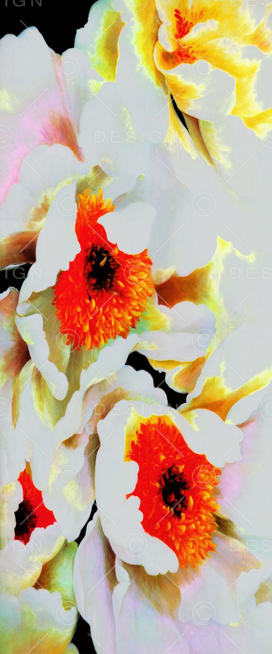 印花华亿平台图片