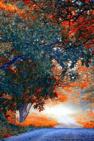 油画笔触印花华亿平台图片