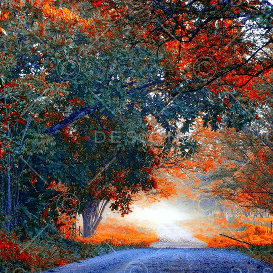 油画笔触印花华亿平台图片