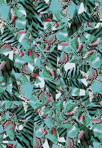 307053-蛇纹虎纹混合动物几何组合印花华亿平台