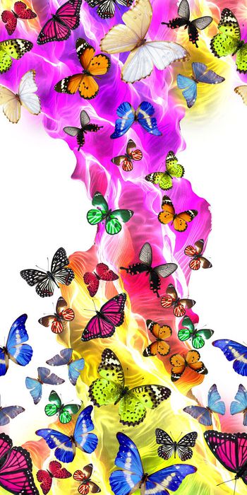 307117-炫彩蝴蝶连衣裙华亿平台