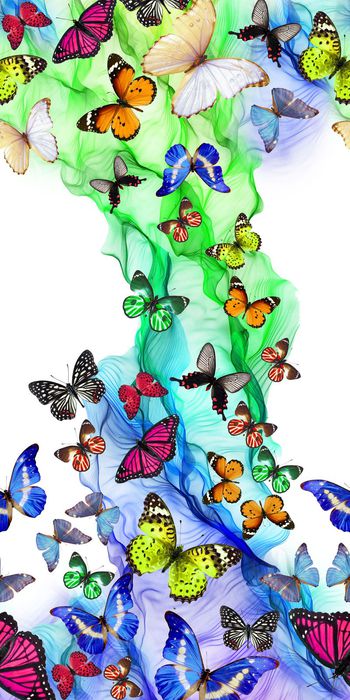 307118-炫彩蝴蝶连衣裙华亿平台