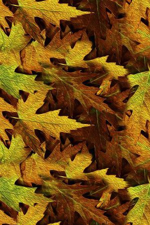 ♥红桃A〖复古时代〗印花华亿平台图片