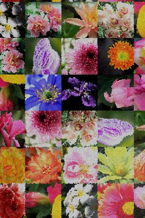 ♥红桃A〖花鸟天堂〗印花华亿平台图片