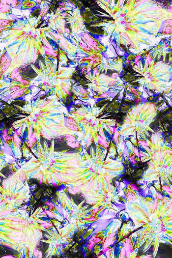 307525-多彩抽象花卉花朵组合