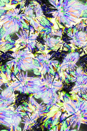 307526-多彩抽象花卉花朵组合