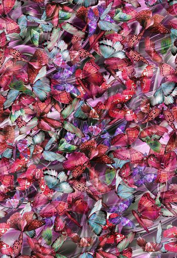 307550-WT305变幻唯美蝴蝶乱花满布印花