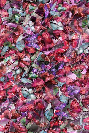 蝴蝶印花华亿平台图片