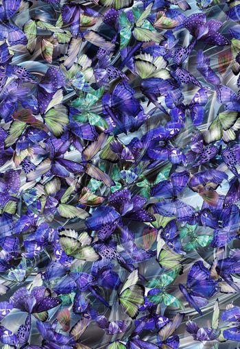 307551-变幻唯美蝴蝶乱花满布印花