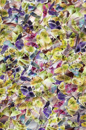 印花华亿平台图片