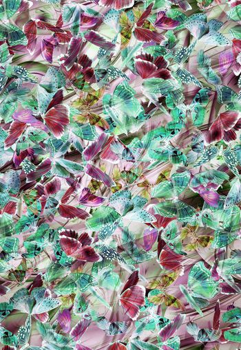 307553-变幻唯美蝴蝶乱花满布印花