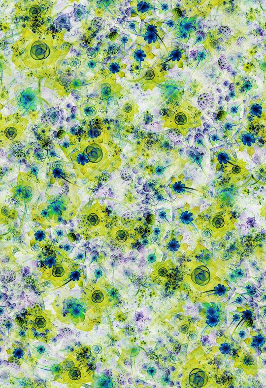 印花华亿平台图片