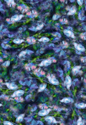 307651-WT309抽象炫光花卉