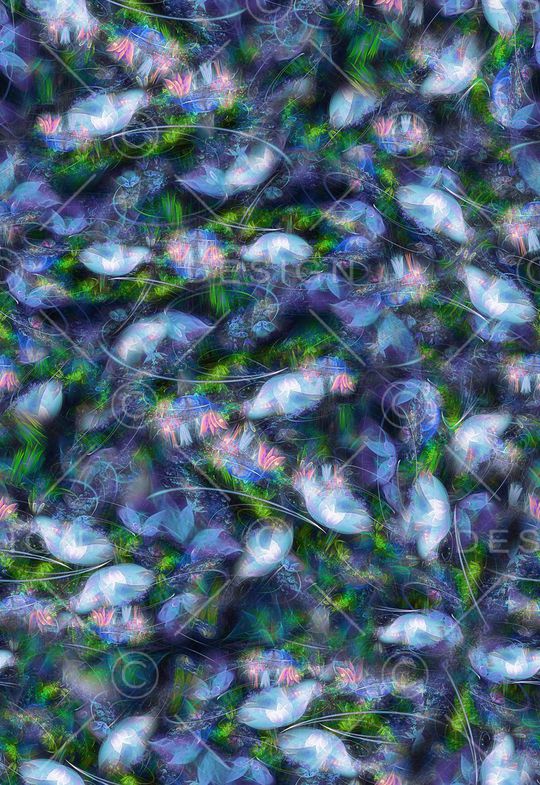 荷花印花华亿平台图片