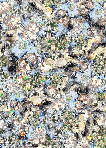 308105-复古抽象朦胧花卉花朵组合