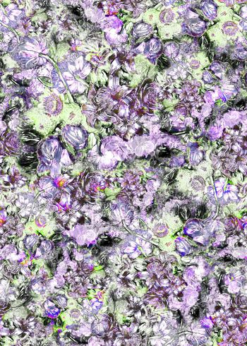 308107-复古抽象朦胧花卉花朵组合