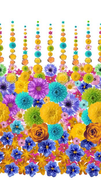 308241-鲜活数码花卉