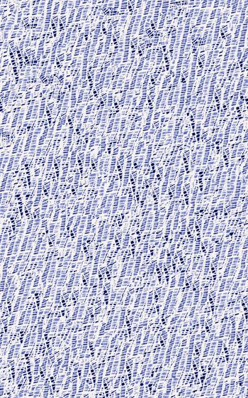 308274-自然肌理几何碎片