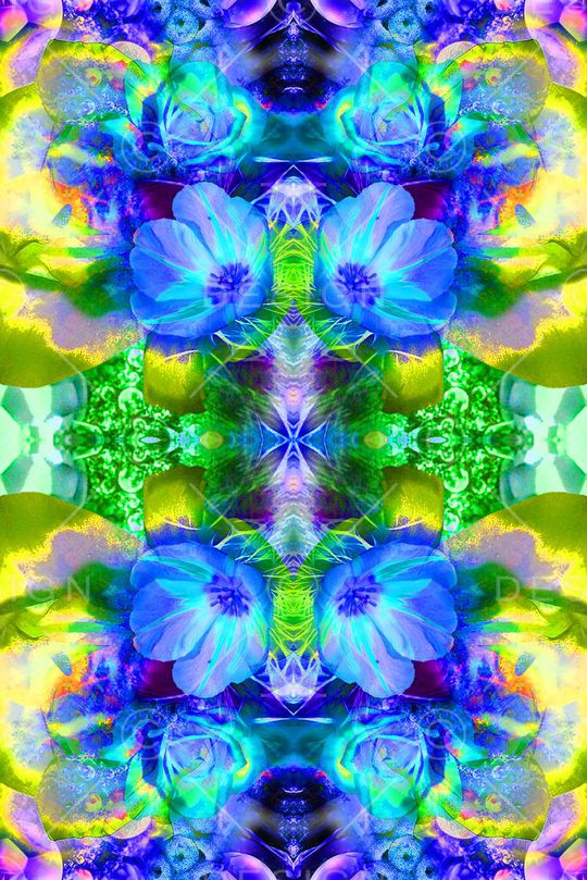 印花华亿平台图片