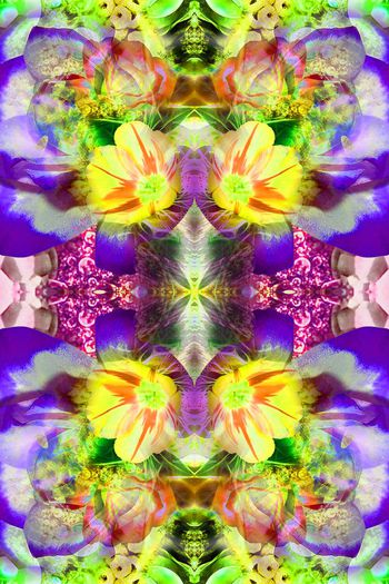 308531-201403y22数码华亿平台-1