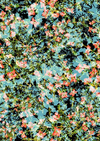 308572-好看小碎花花卉花朵组合