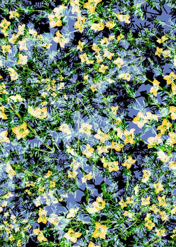 308574-好看小碎花花卉花朵组合