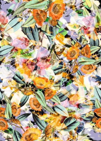 308587-多彩花卉花朵组合