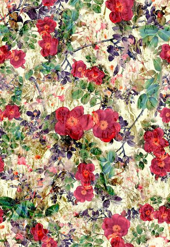 308604-水彩花卉花朵组合