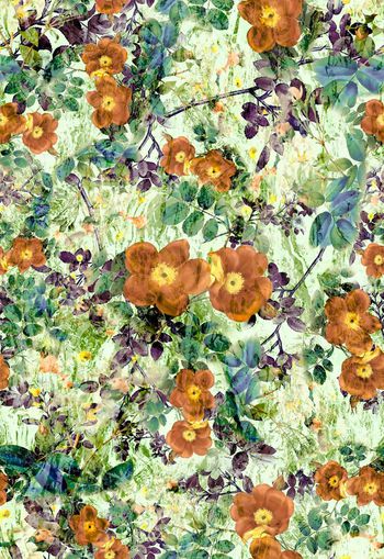 308605-水彩花卉花朵组合