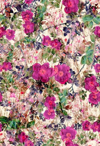 308606-水彩花卉花朵组合