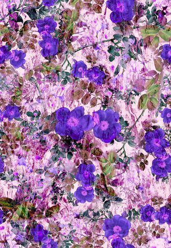 308607-水彩花卉花朵组合